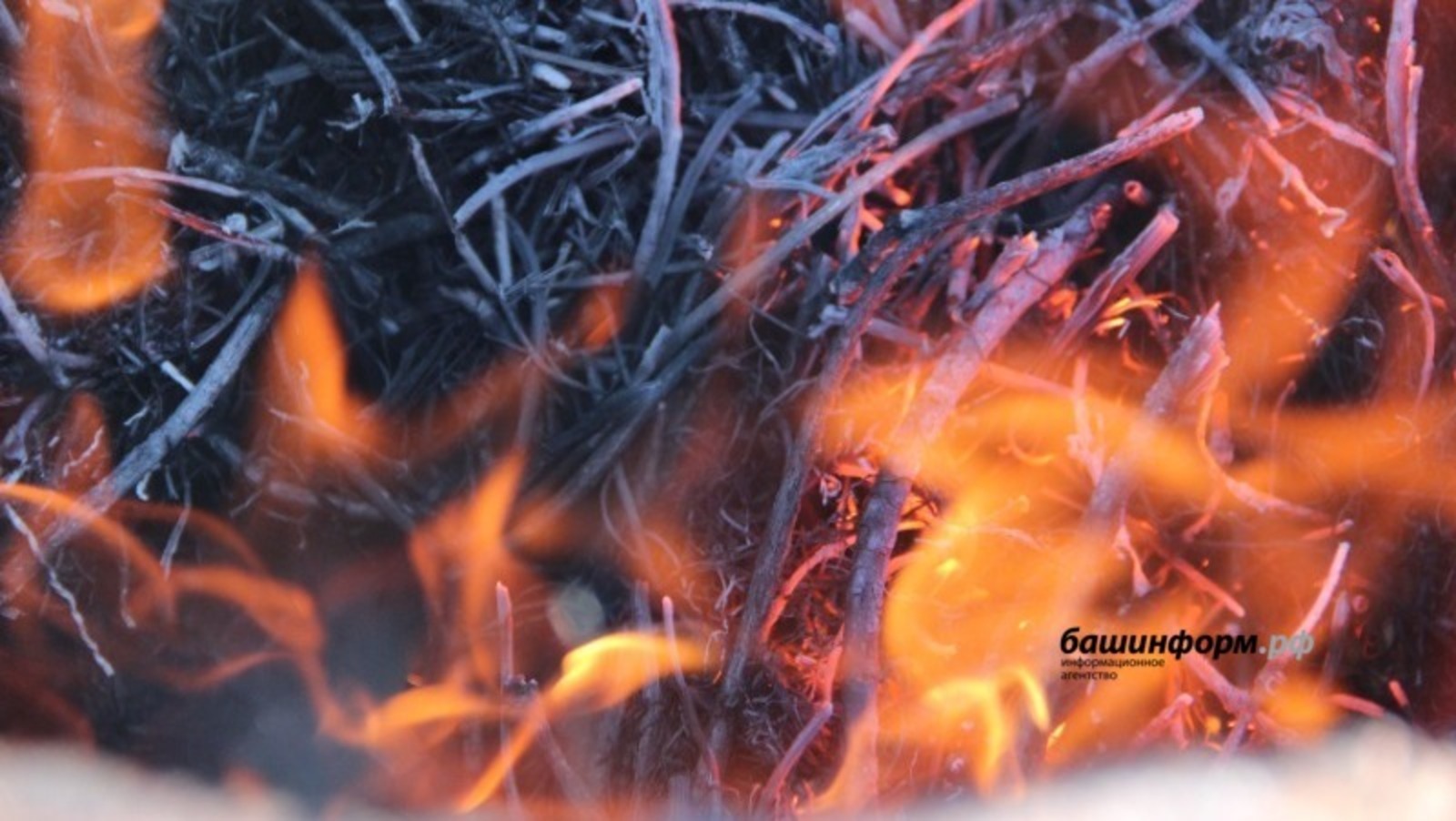 «Башинформ» мәғлүмәт агентлығы архивы