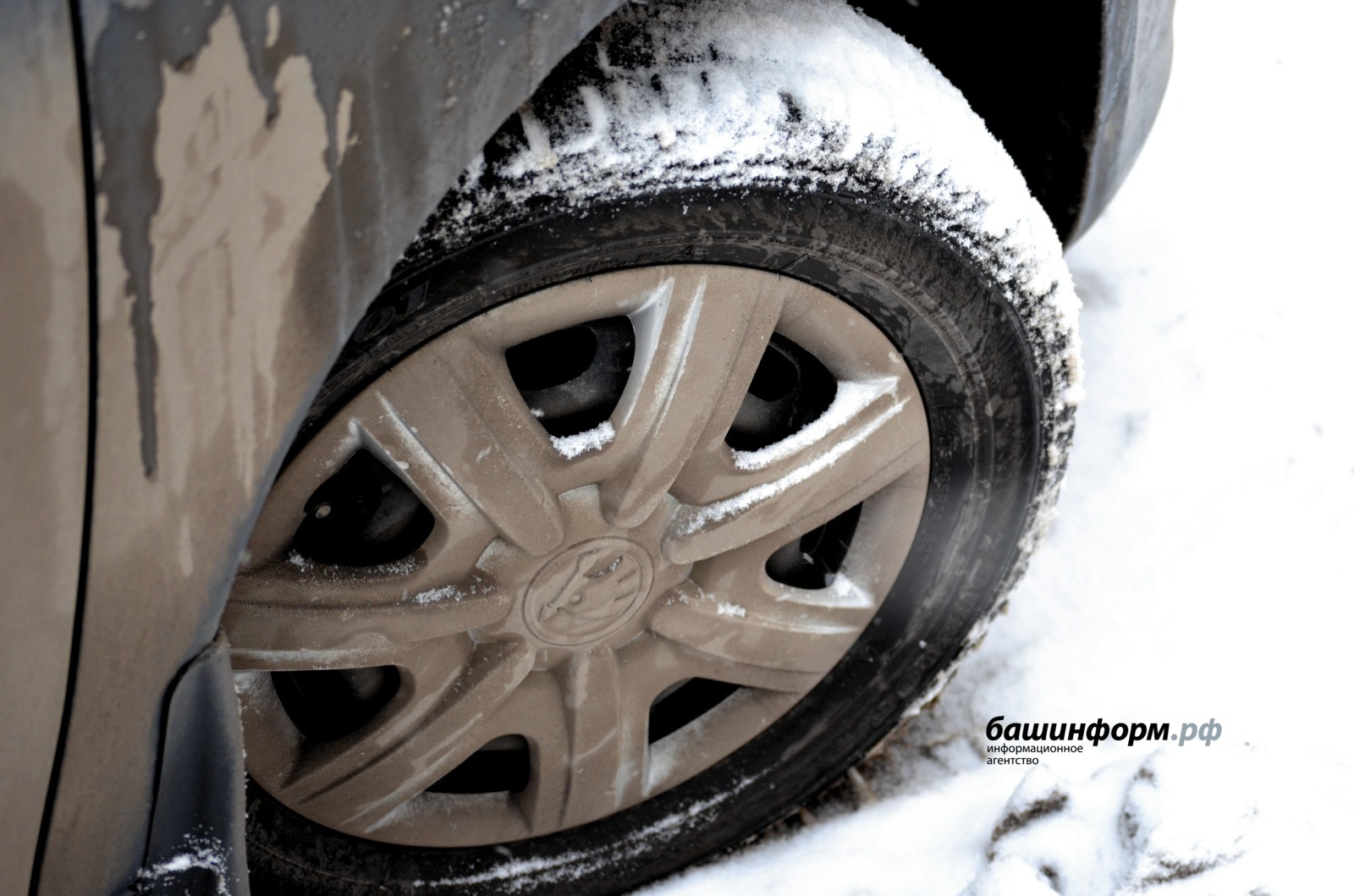 Ксения Калинина  ИА «Башинформ»