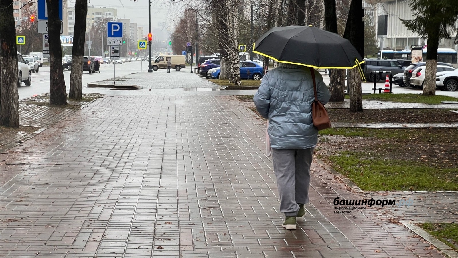 Ксения Калинина  ИА Башинформ