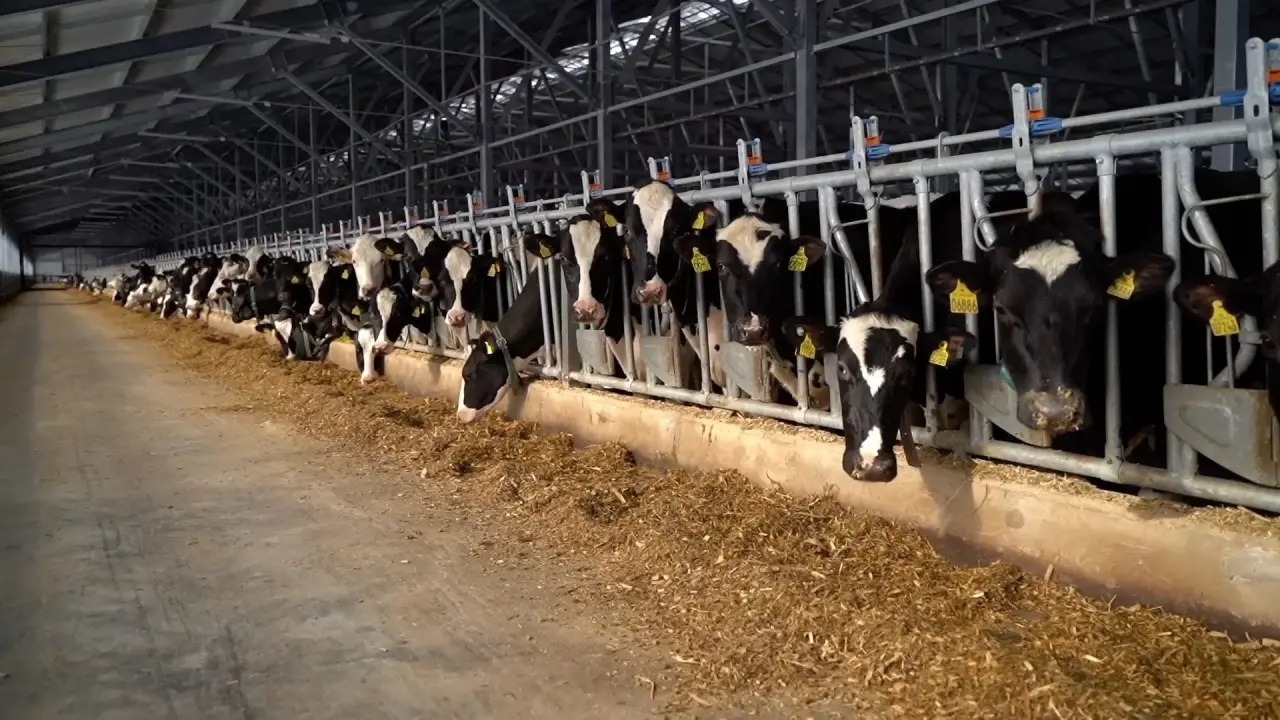 официальный аккаунт Радия Хабирова ВКонтакте