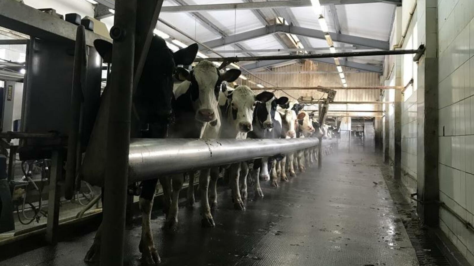 УГМК-Холдинг