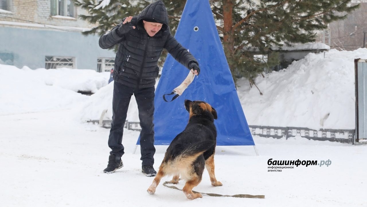 Валерий Шахов