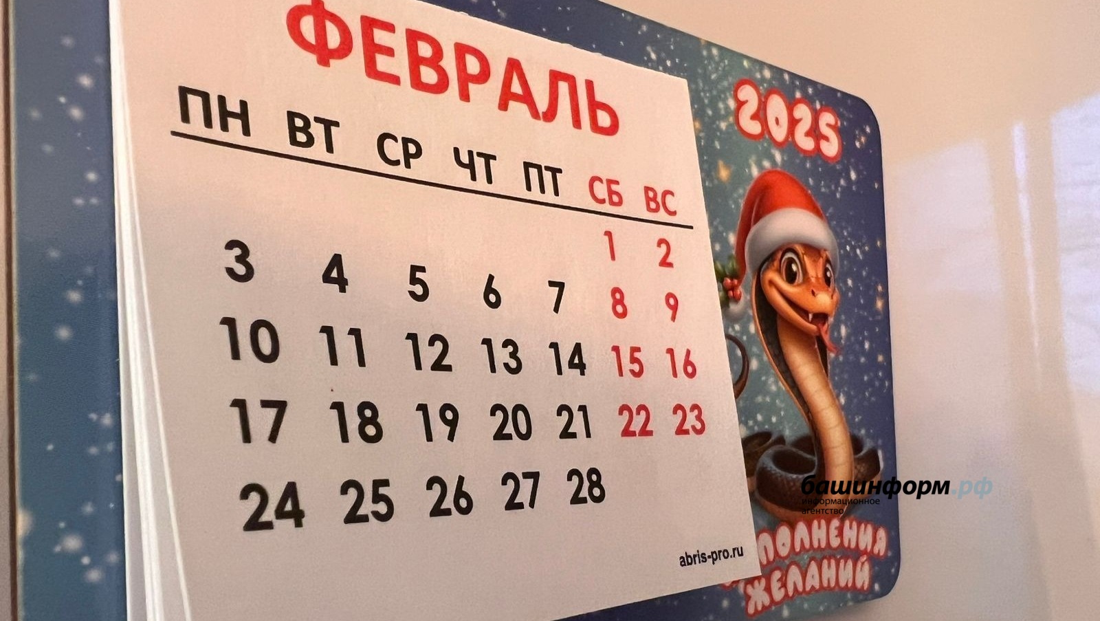 Ксения Калинина