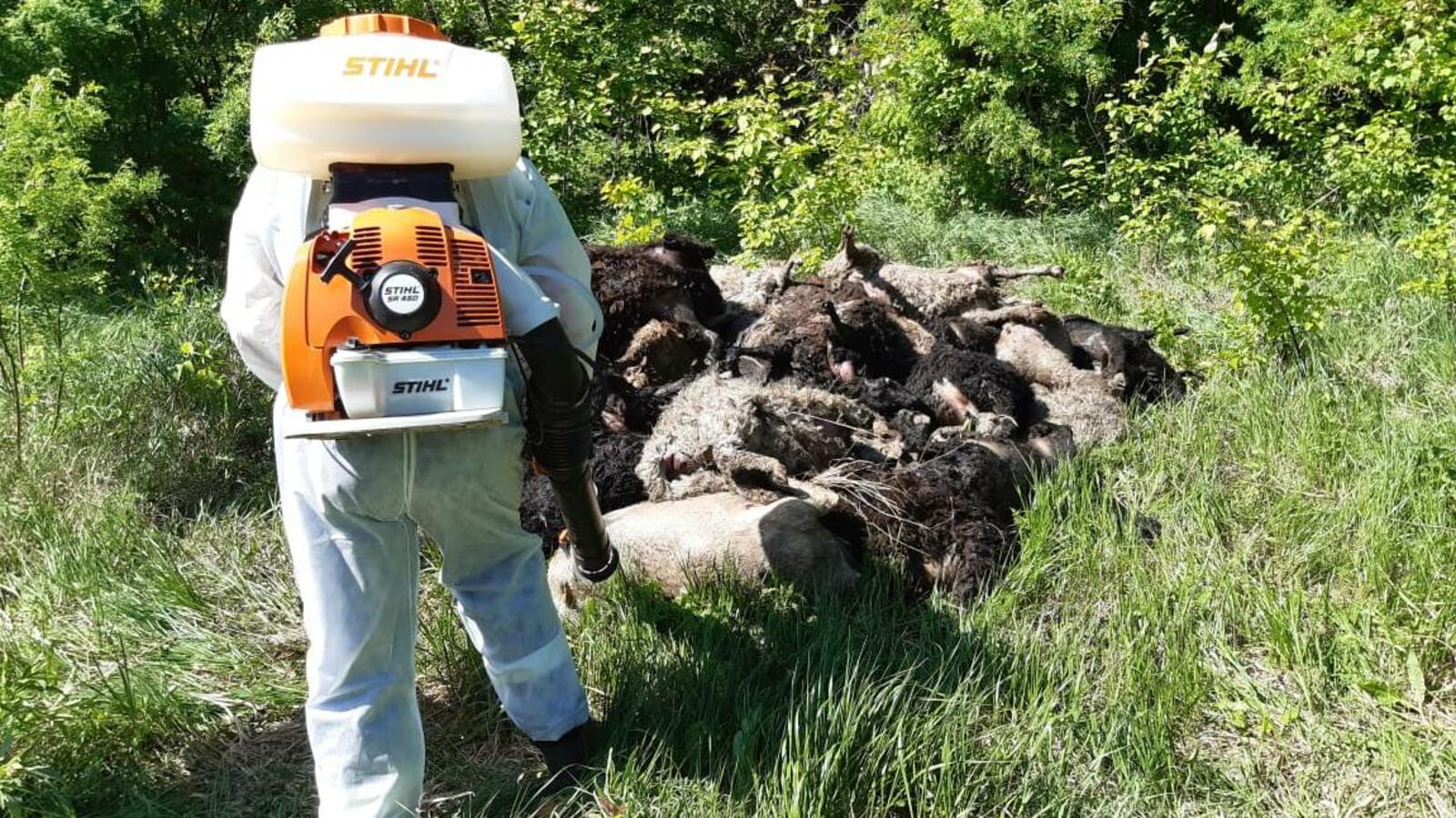 Управление Россельхознадзора по РБ