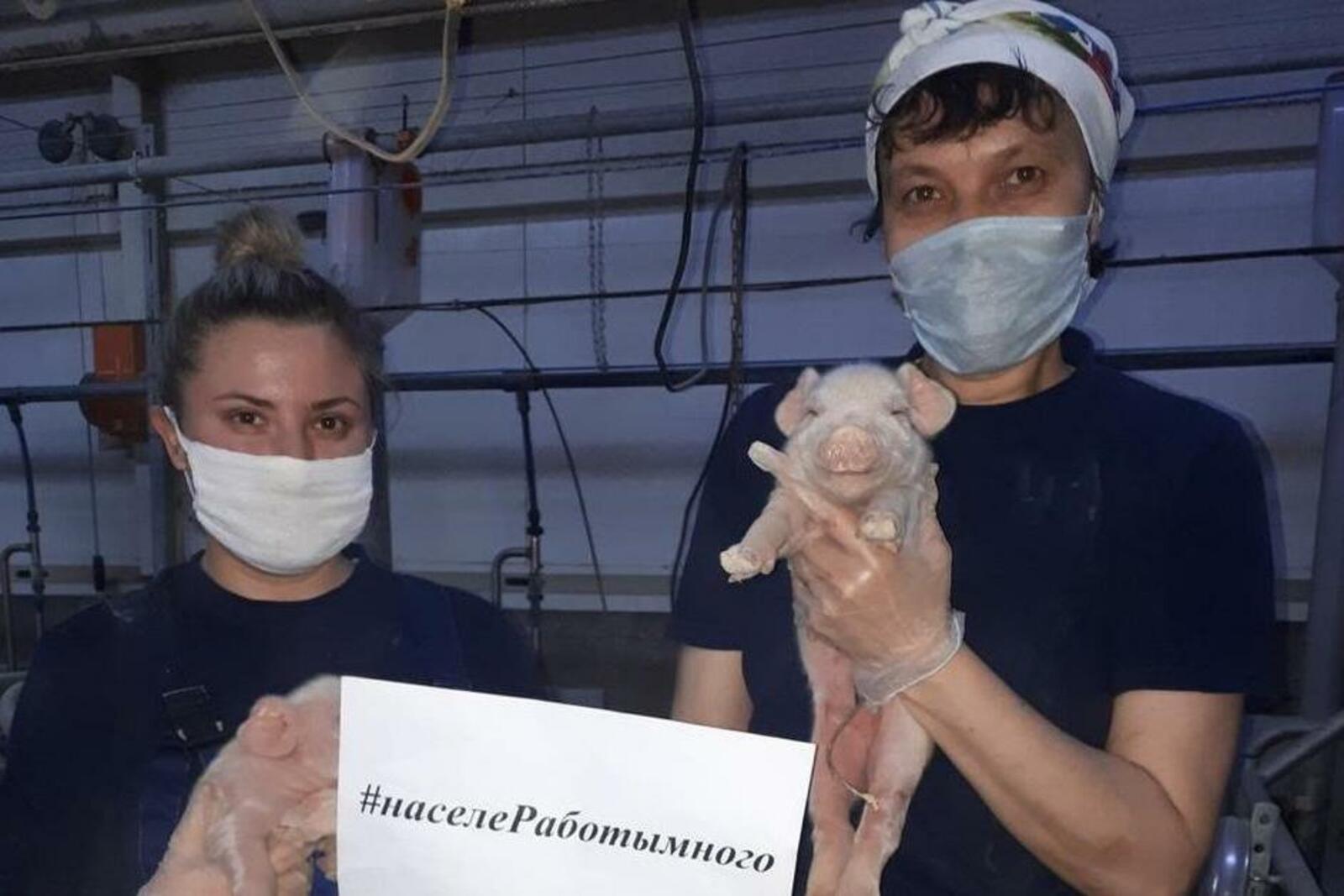 Башҡортостан Республикаһы Ауыл хужалығы министрлығының матбуғат хеҙмәте