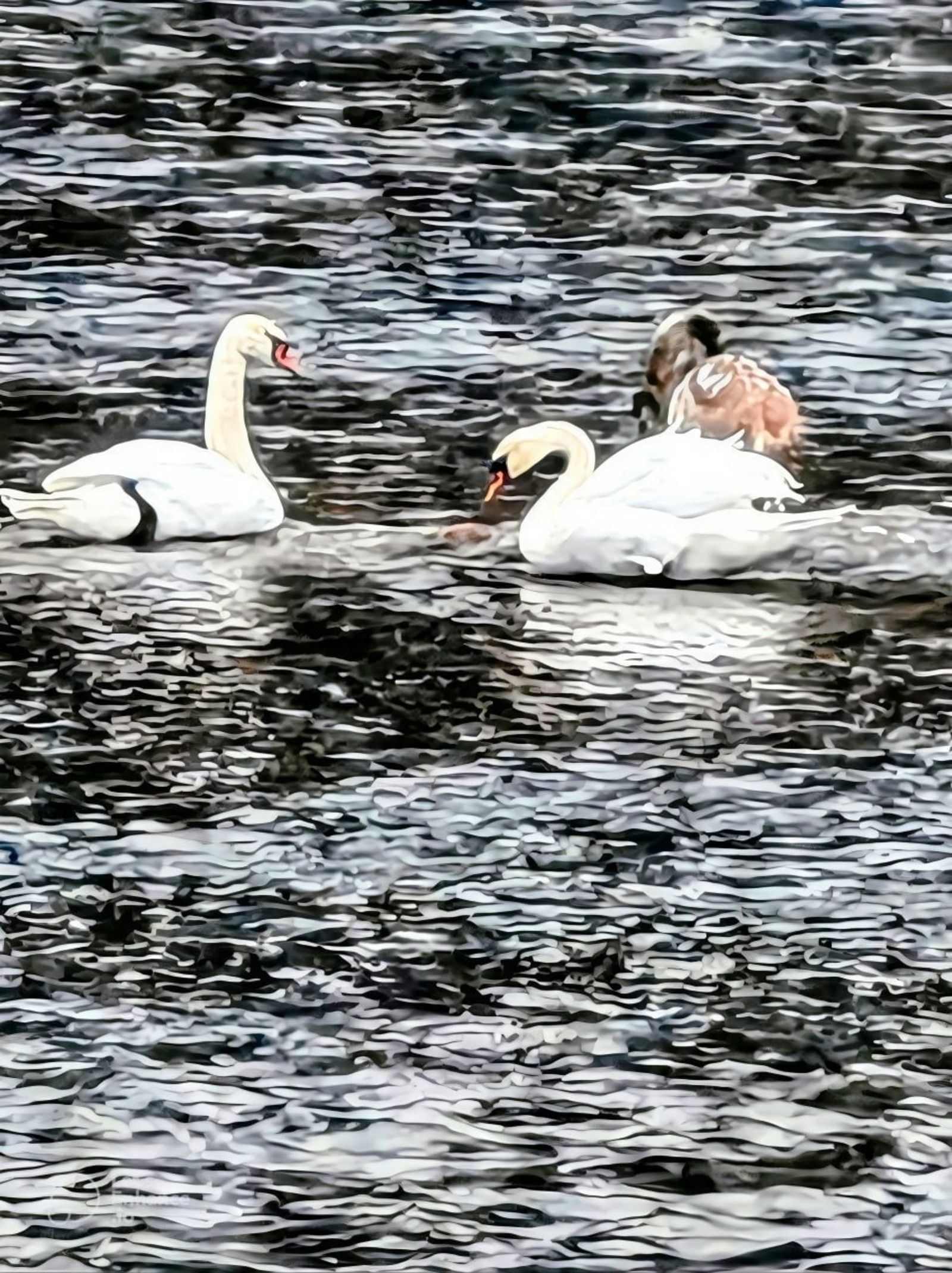 пресс-служба нацпарк «Башкирия»