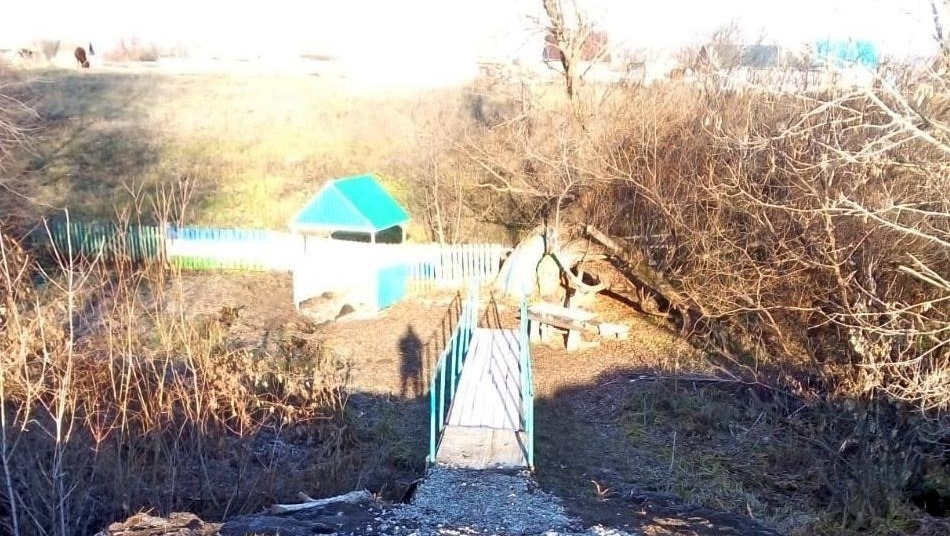 Лариса Андреева