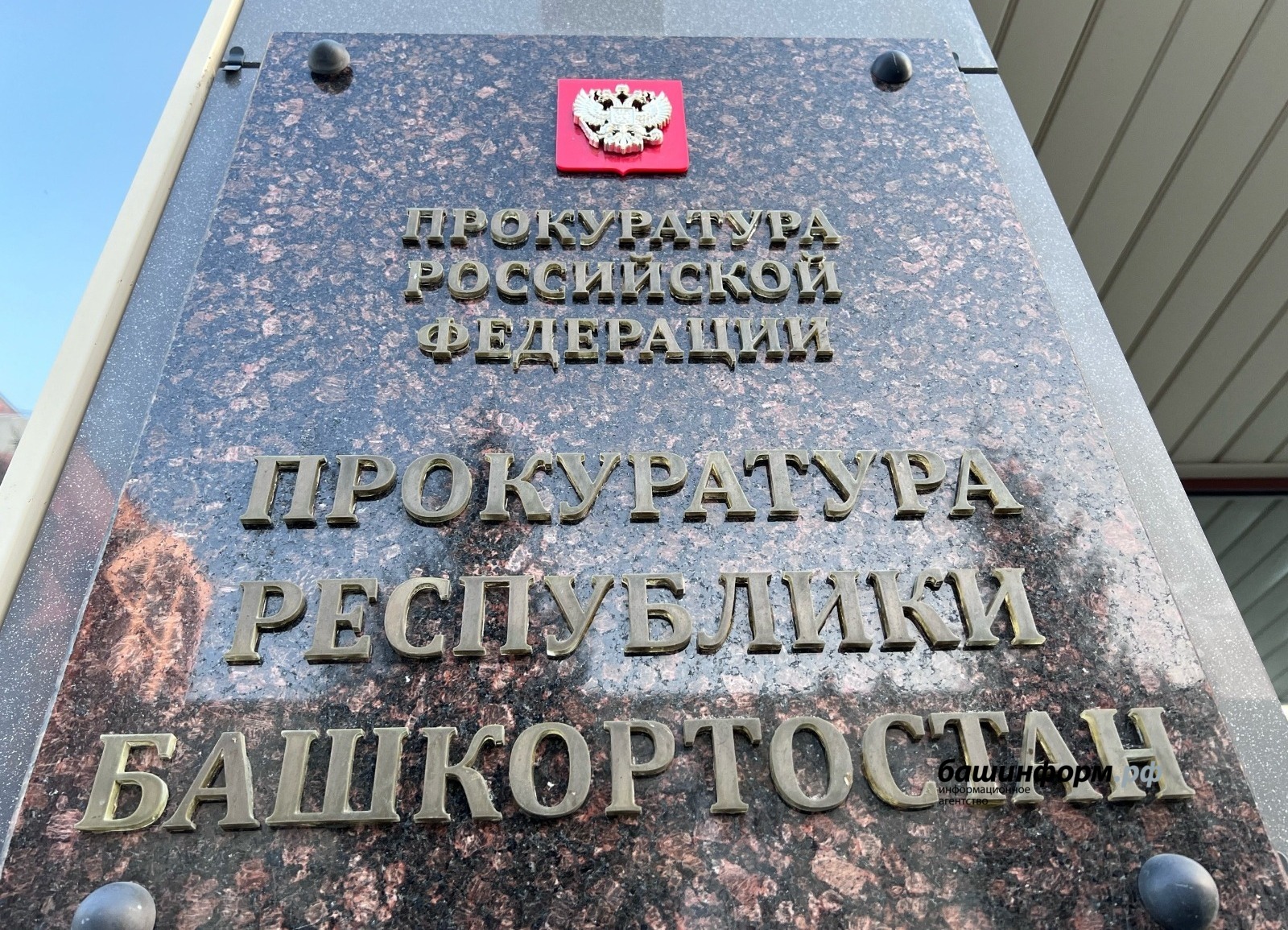 Ксения Калинина