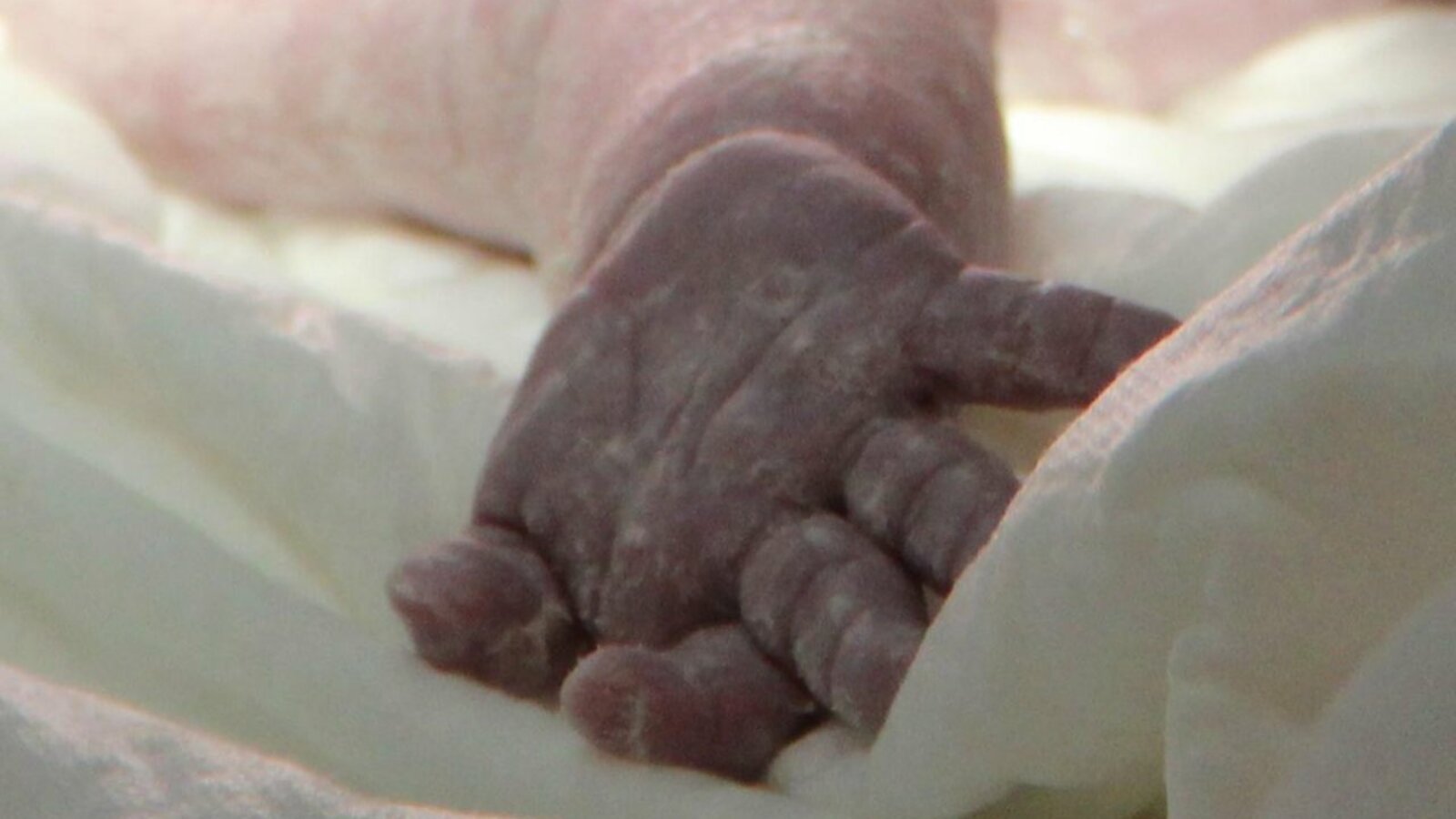 ИА «Башинформ»