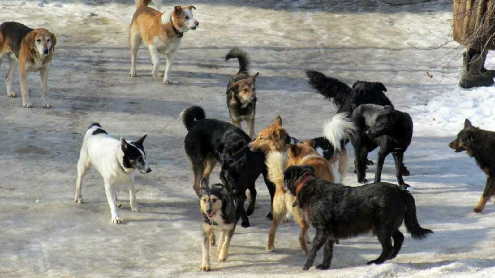 ИА «Башинформ»