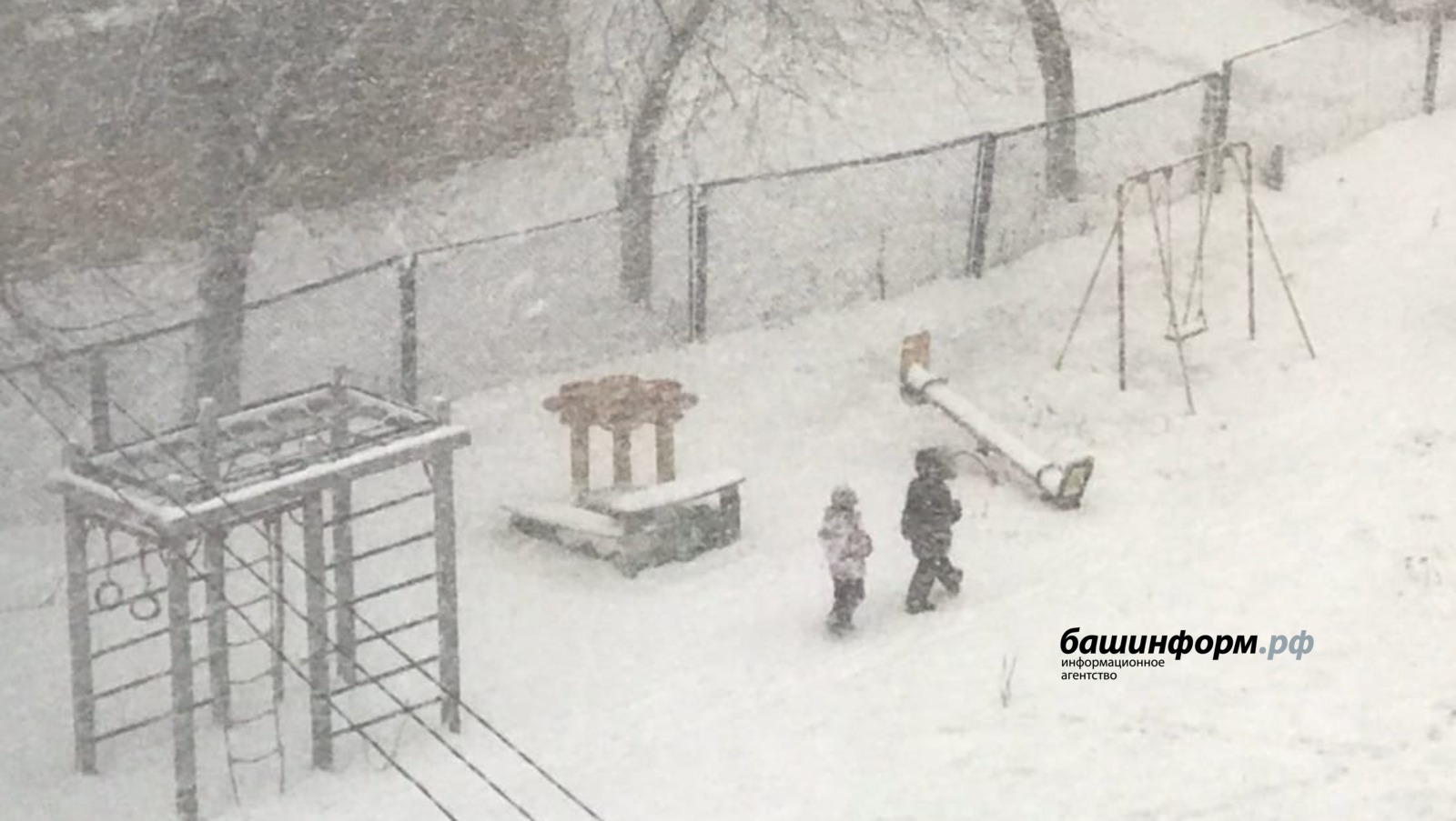 Ксения Калинина  ИА Башинформ