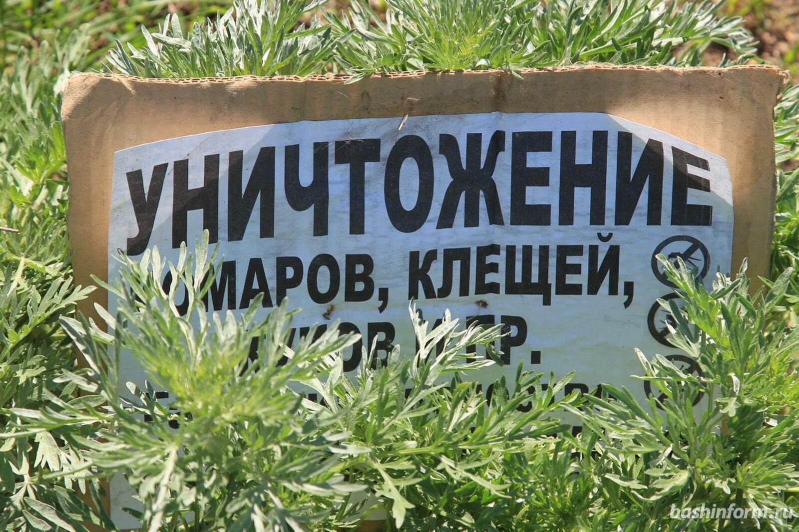 ИА «Башинформ»