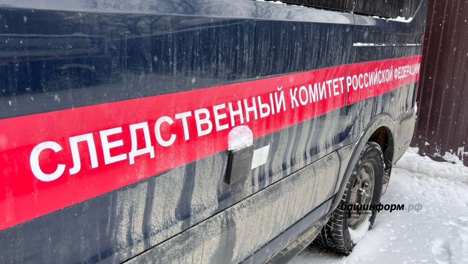 Ксения Калинина