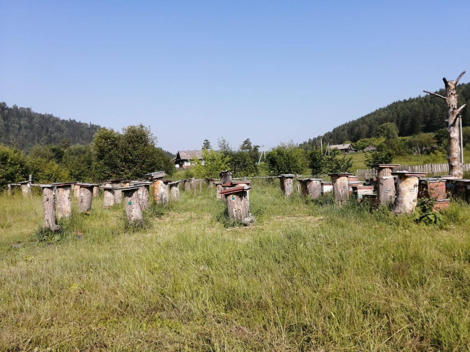 группа для общения Радия Хабирова с бизнесом