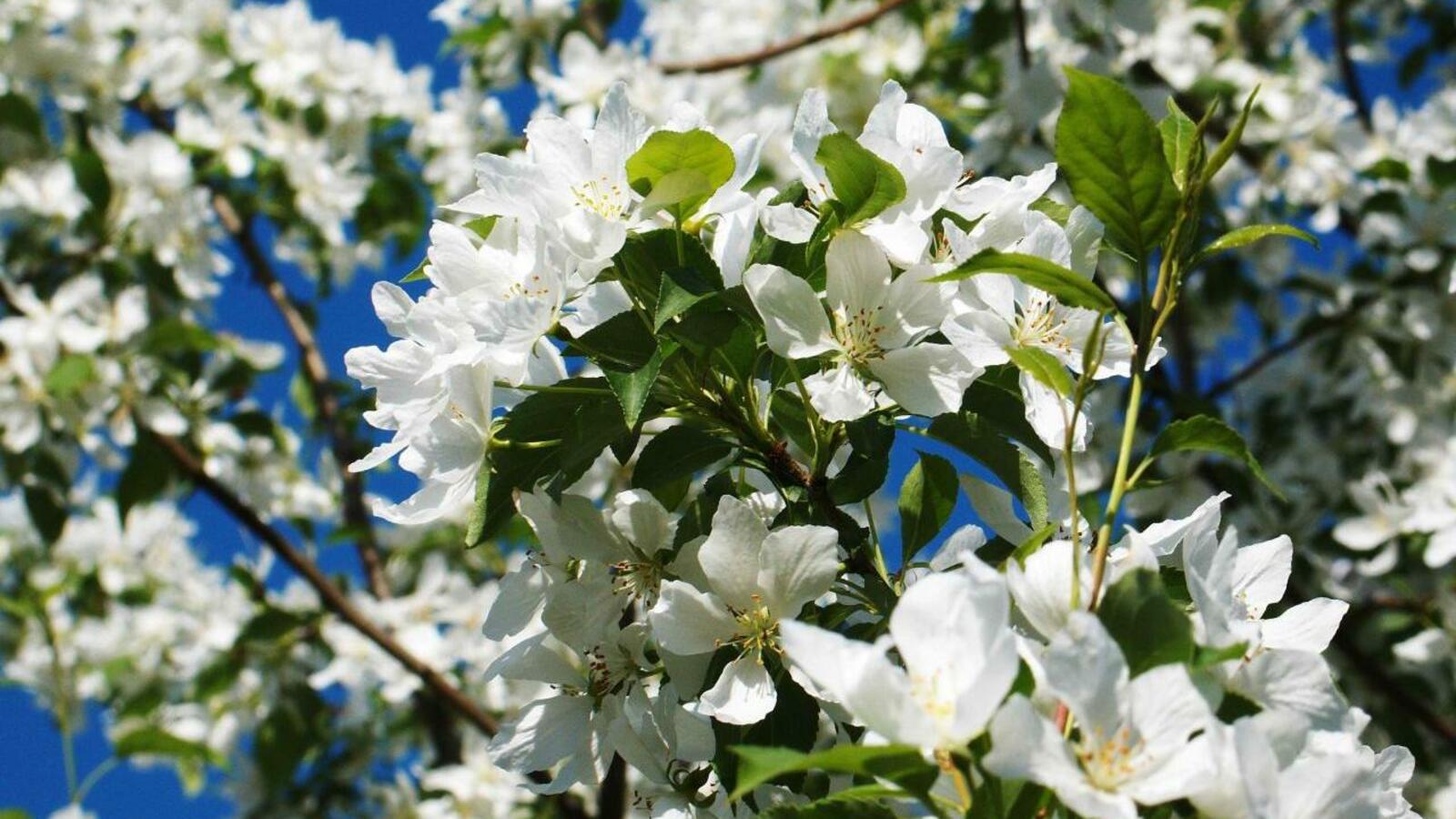 ИА «Башинформ»