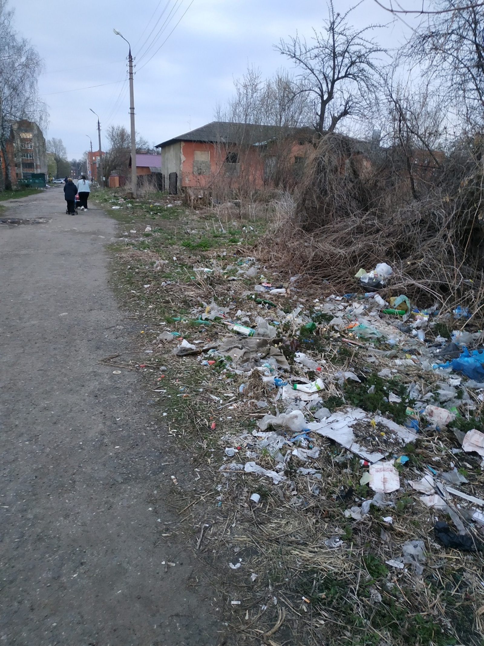Жительница села в Башкирии просит Радия Хабирова выгнать нерадивого подрядчика по вывозу мусора