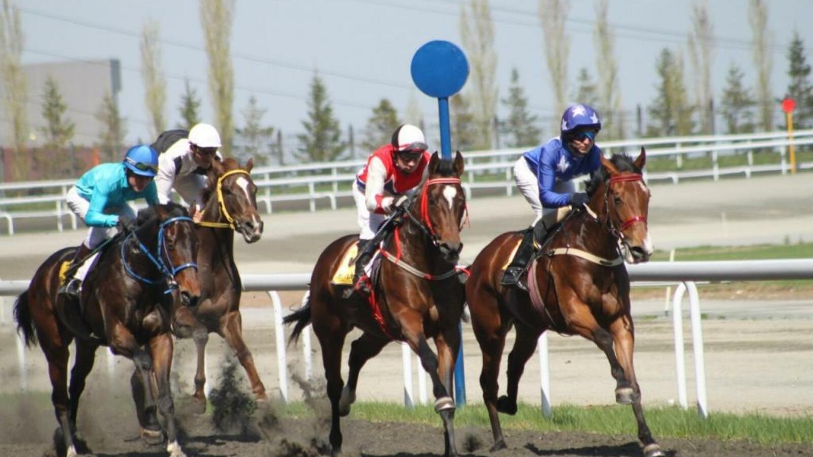 организаторы