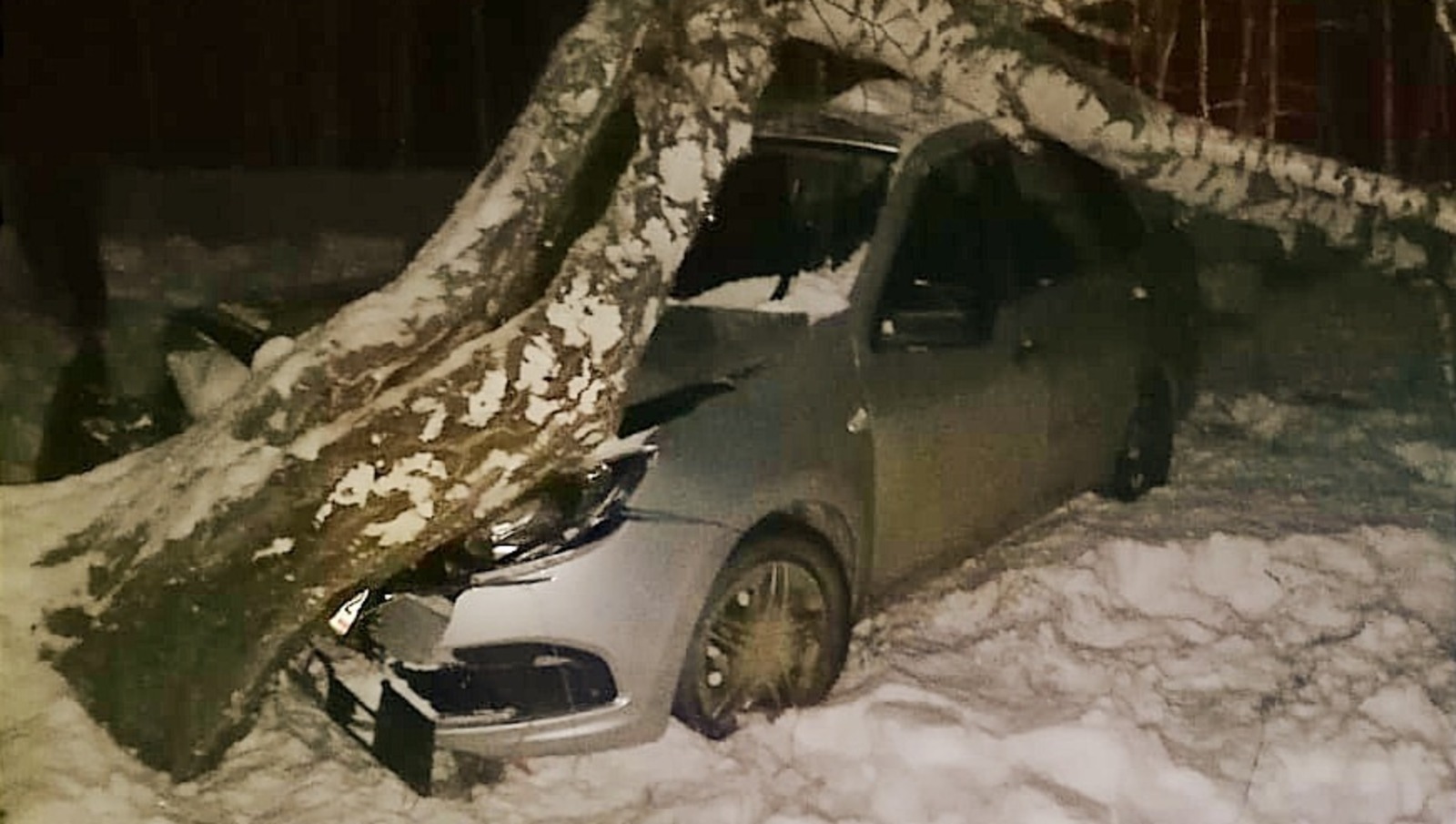 В Башкирии 92-летний водитель с просроченными правами на машине «Лада Гранта» протаранил дерево