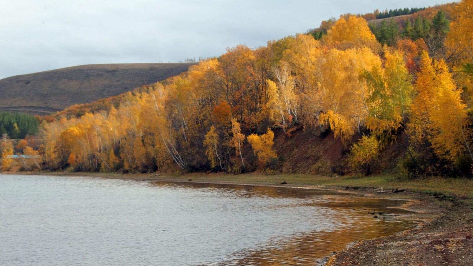 Олег Яровиков