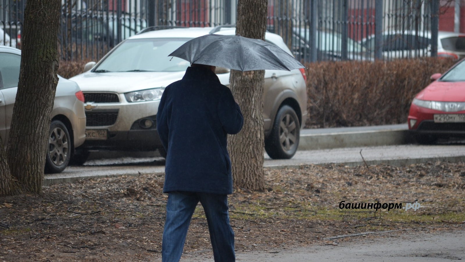 Ксения Калинина | «Башинформ» мәғлүмәт агентлығы