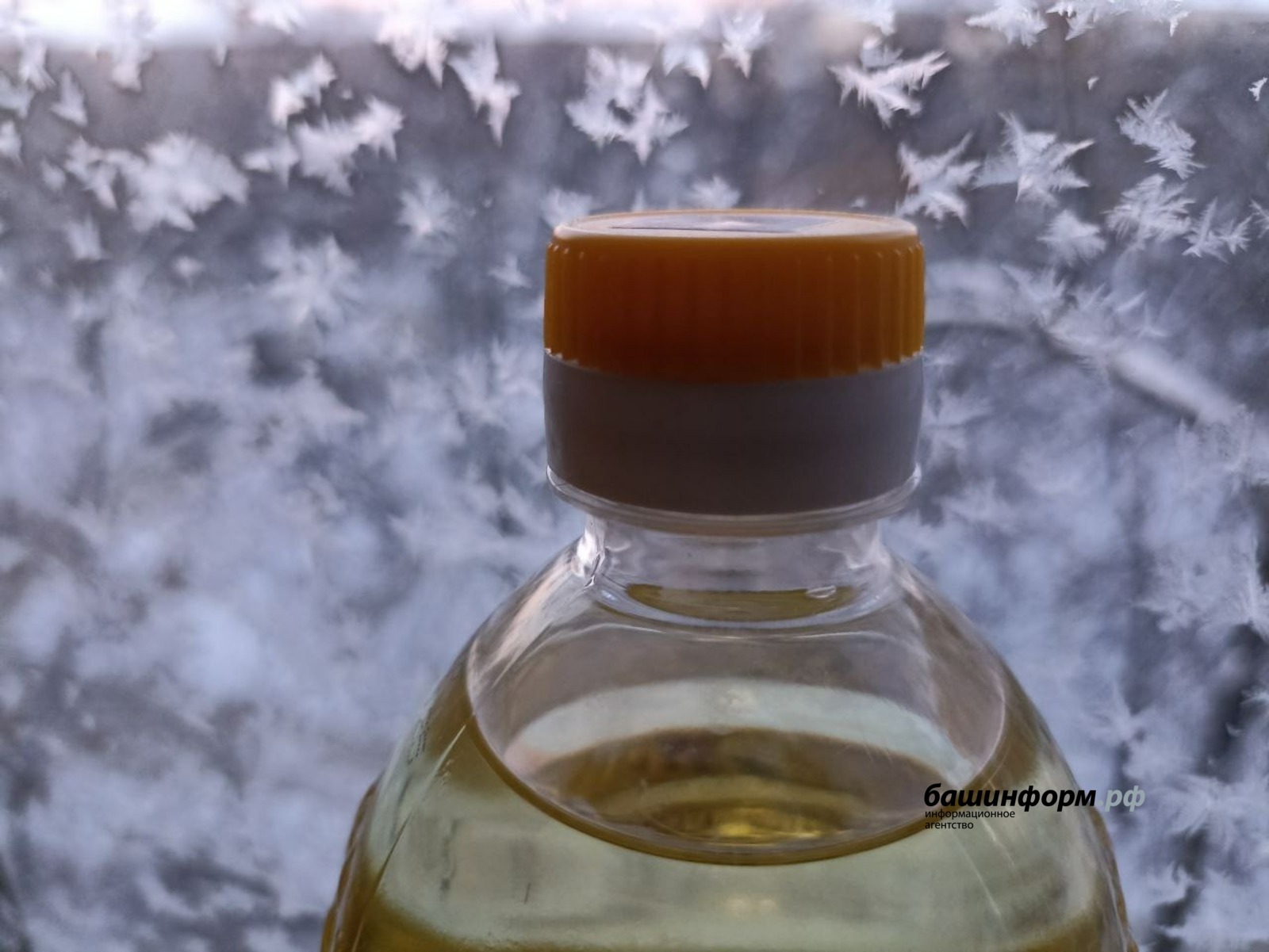 Олег Яровиков ИА "Башинформ"