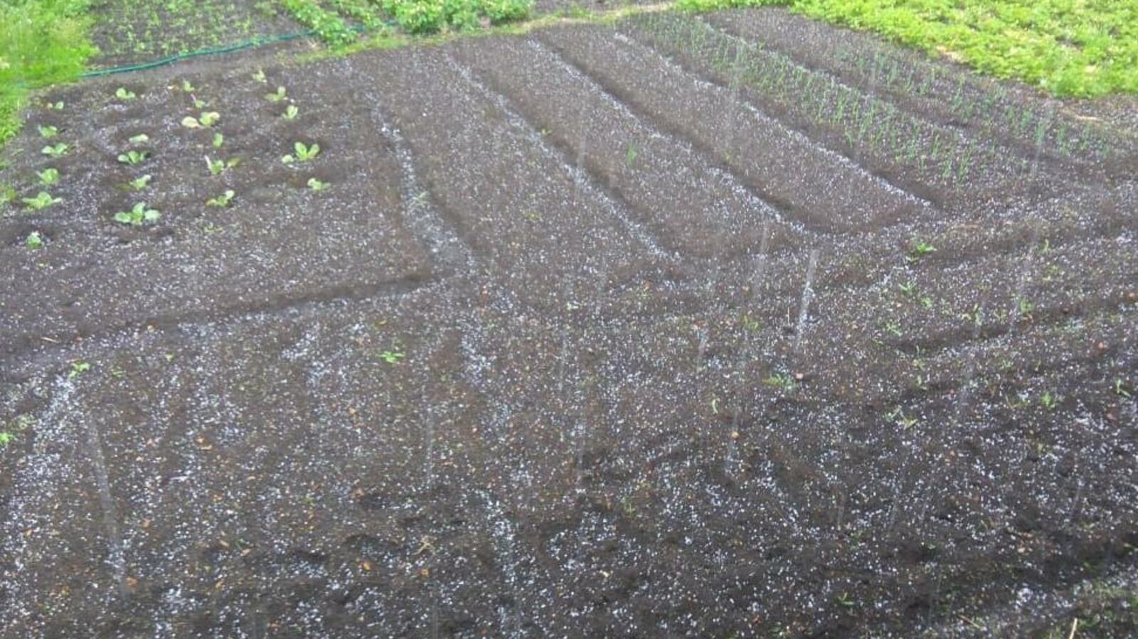 ИА «Башинформ», Галия Набиева