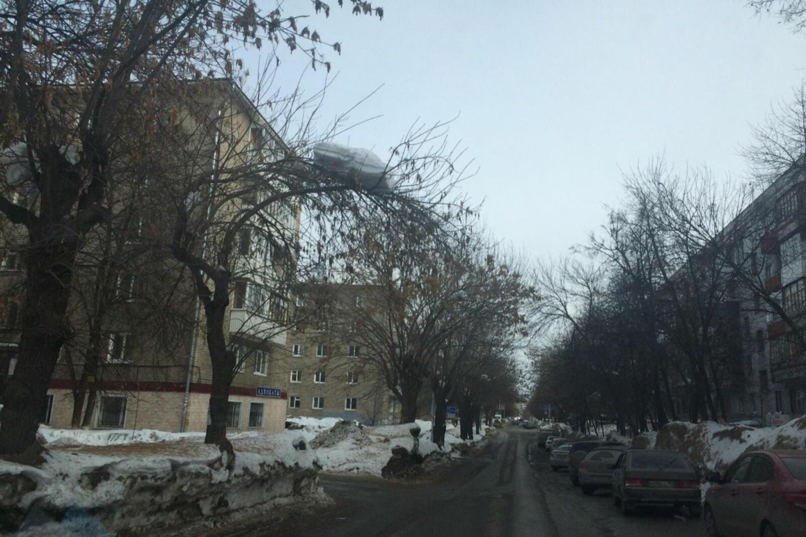 очевидец