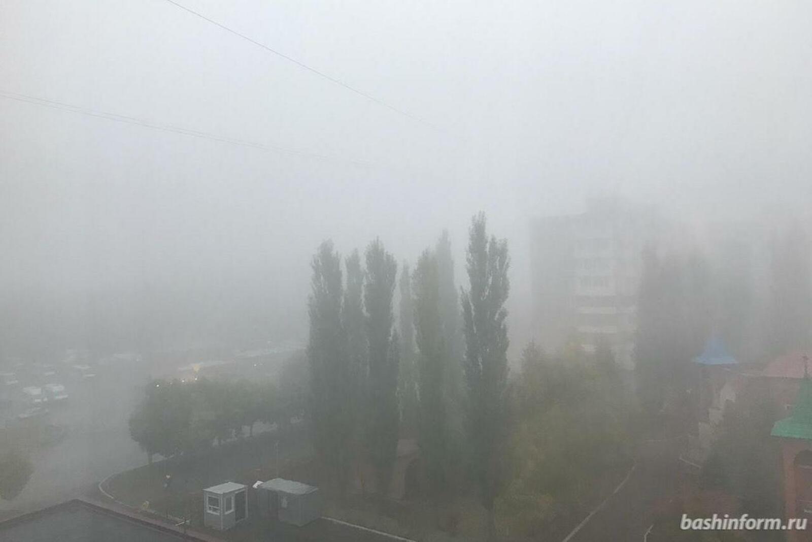 Ксения Калинина