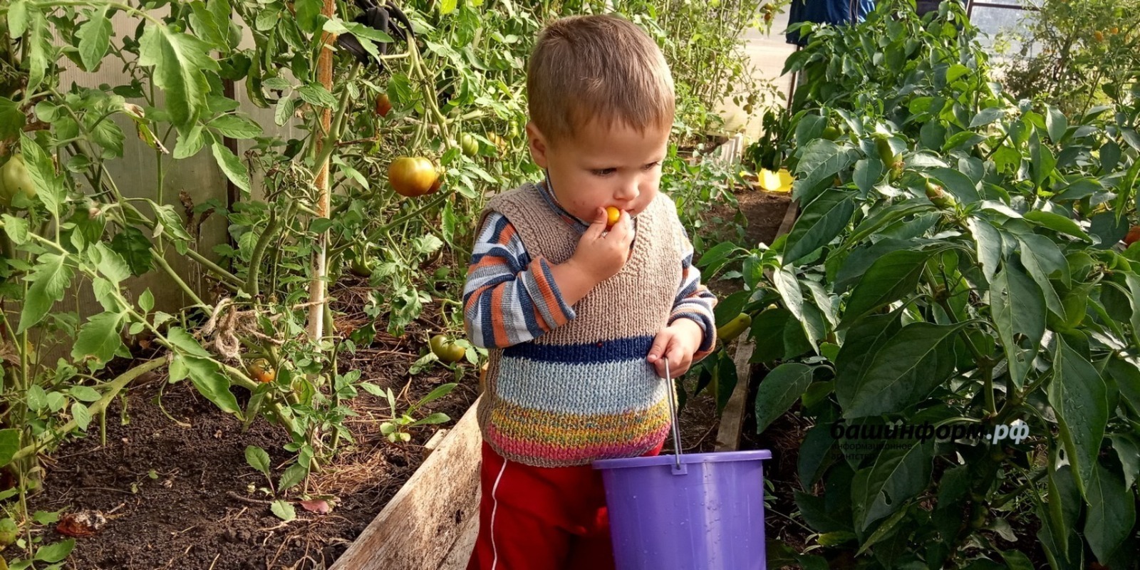 Валерий Шахов архив ИА «Башинформ»