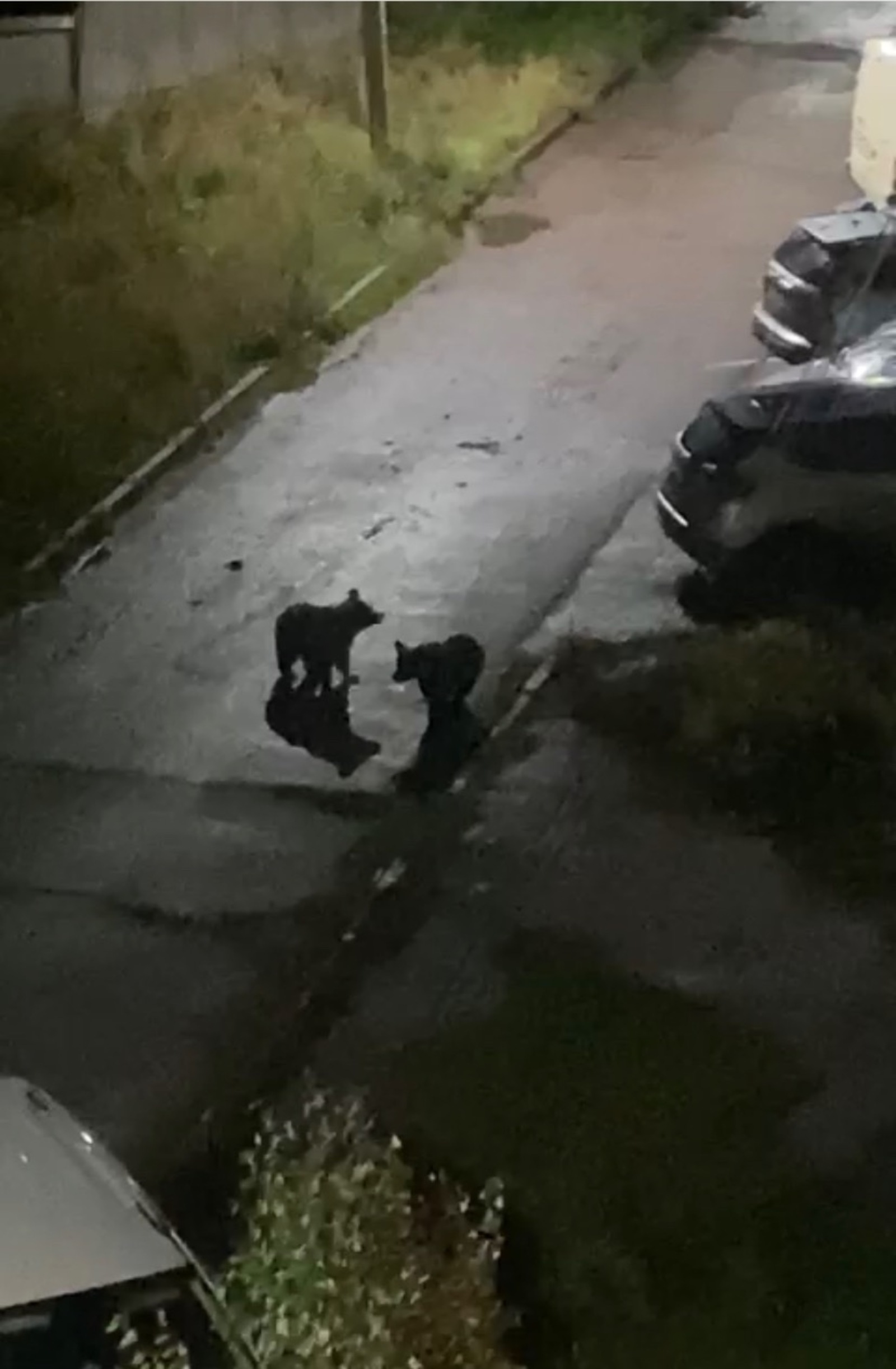 Скриншот видео