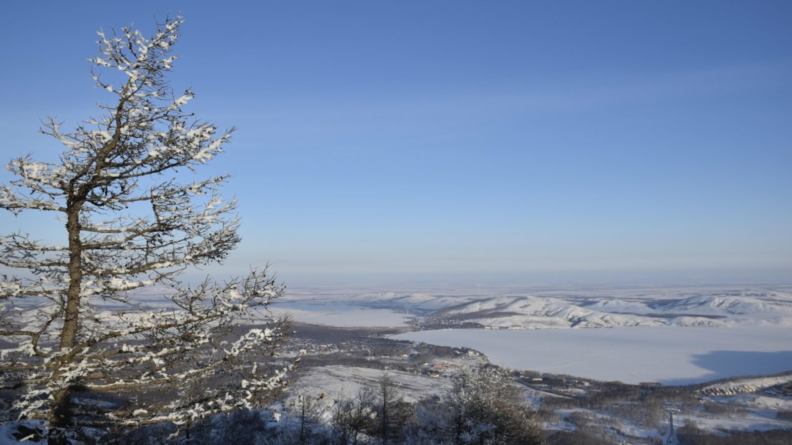 Галина Бахшиева, REA