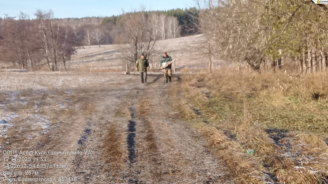 Галимуллина У. А. природный парк "Аслы-куль"