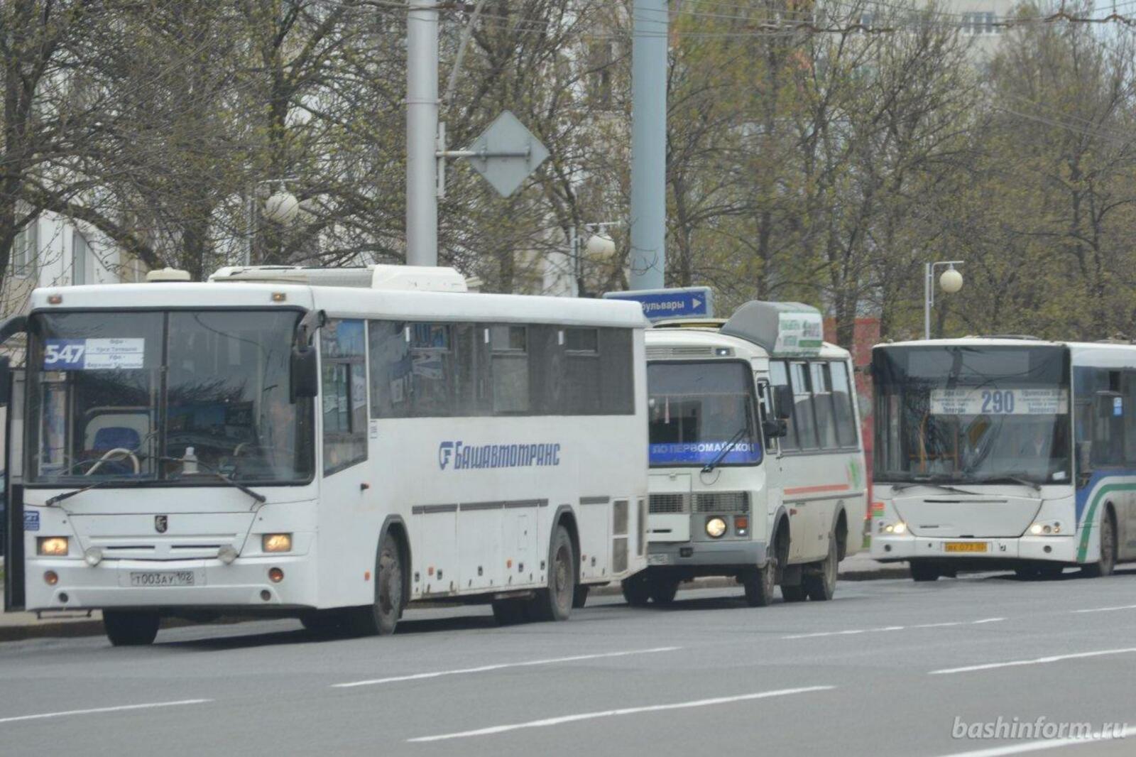 Ксения Калинина