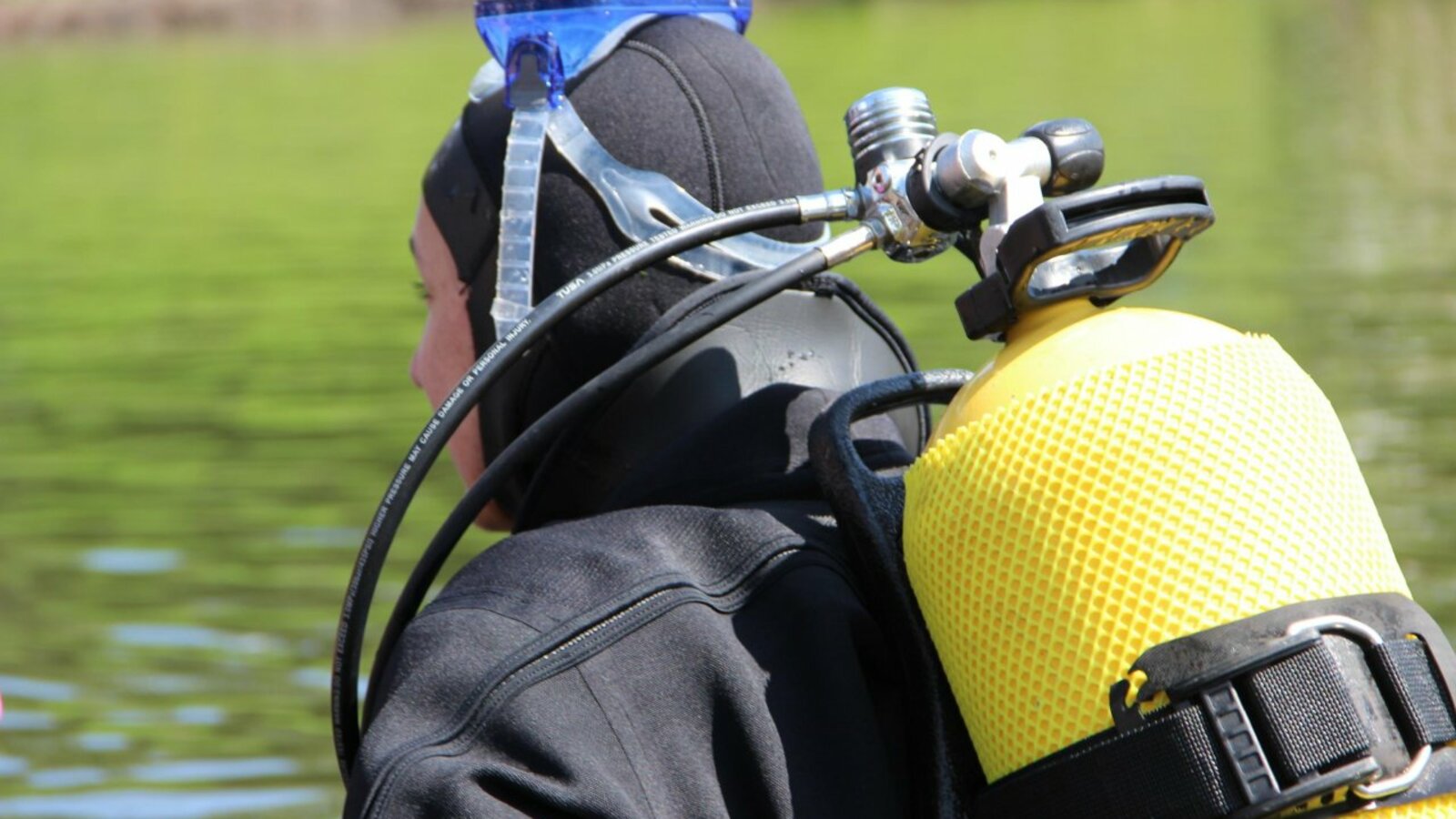 Ксения Калинина