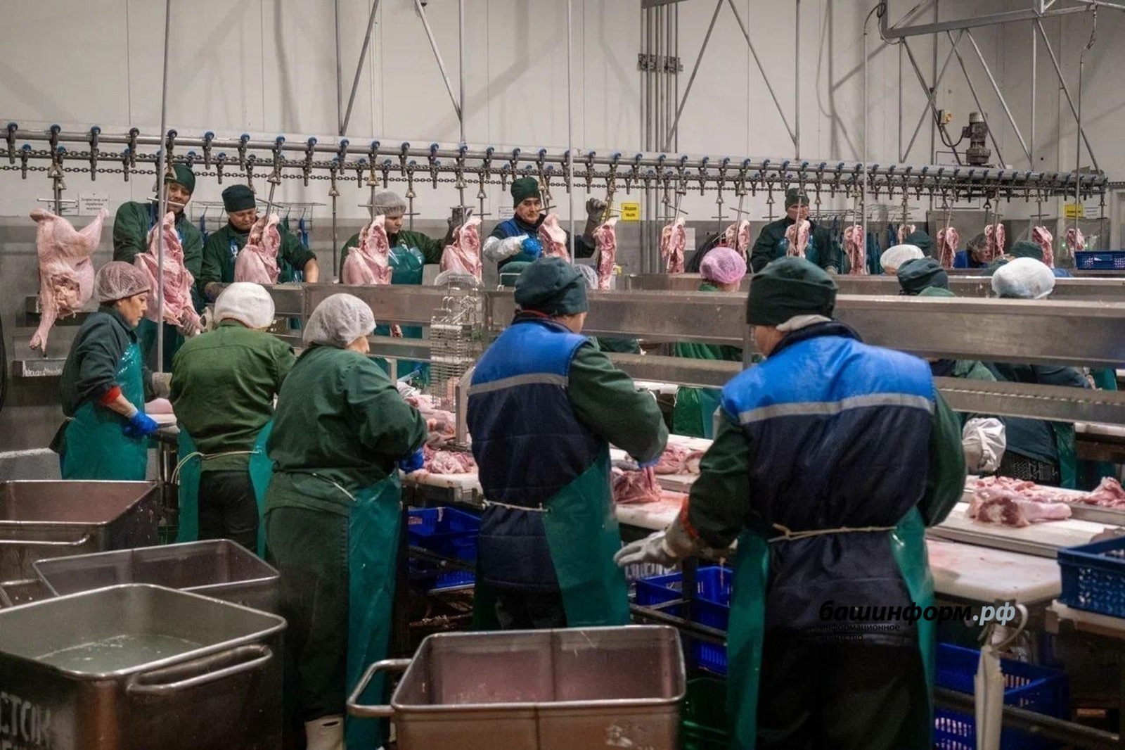 Bashkortostan increased turkey exports to africa by 3.5 times