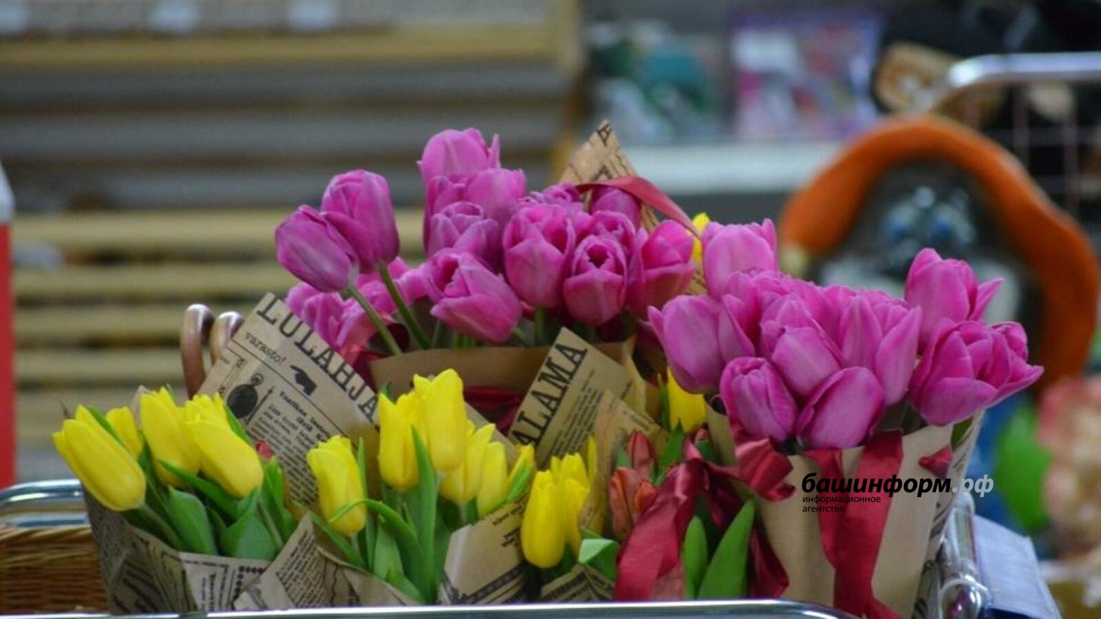 Ксения Калинина Башинформ