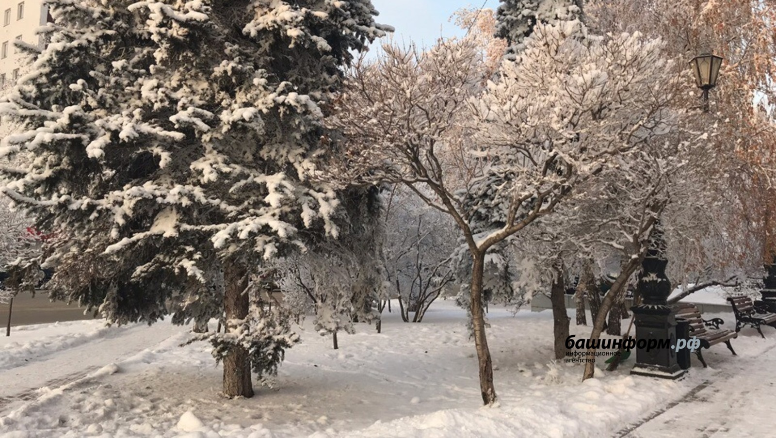 Ксения Калинина  ИА Башинформ