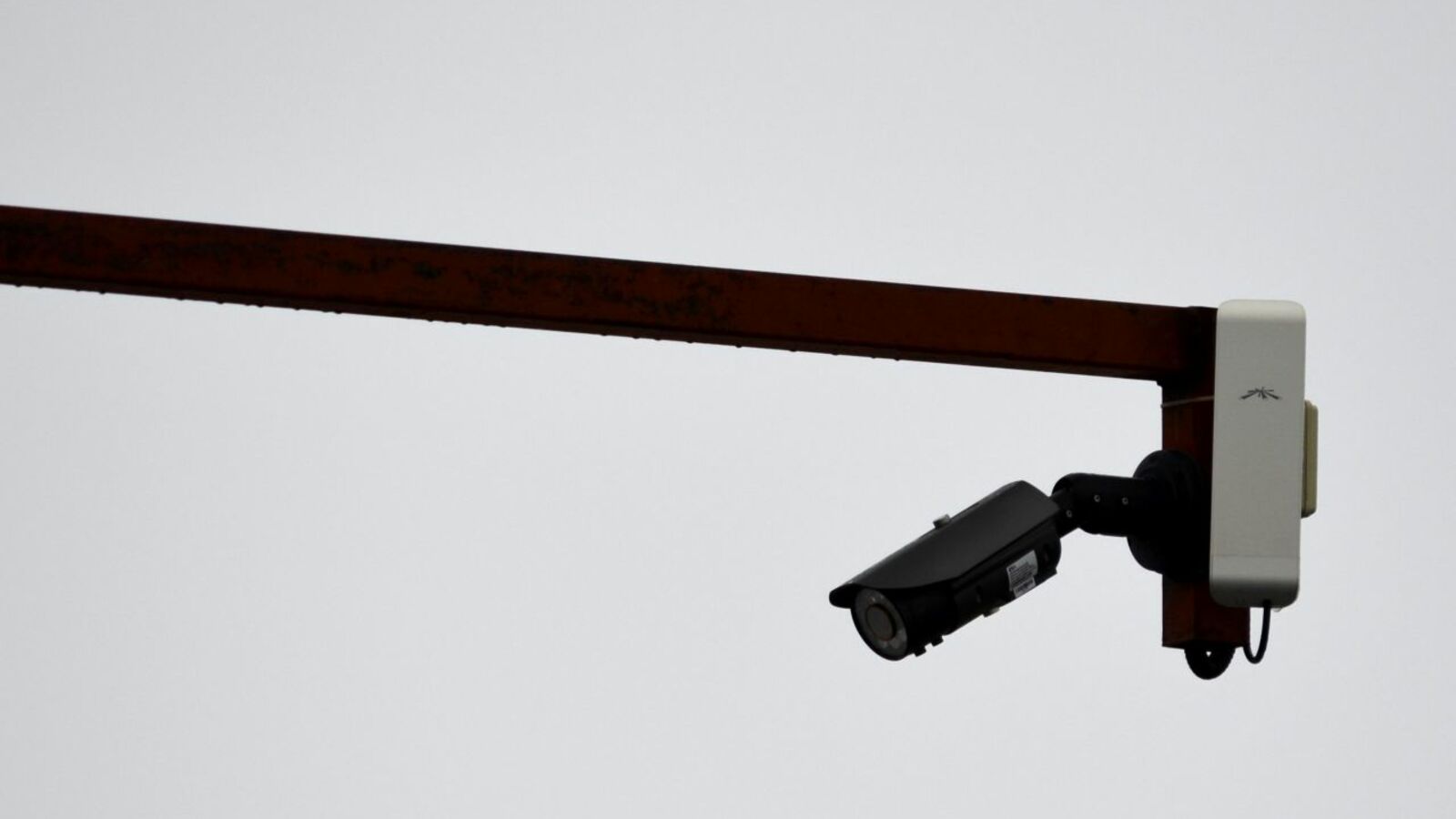 Ксения Калинина