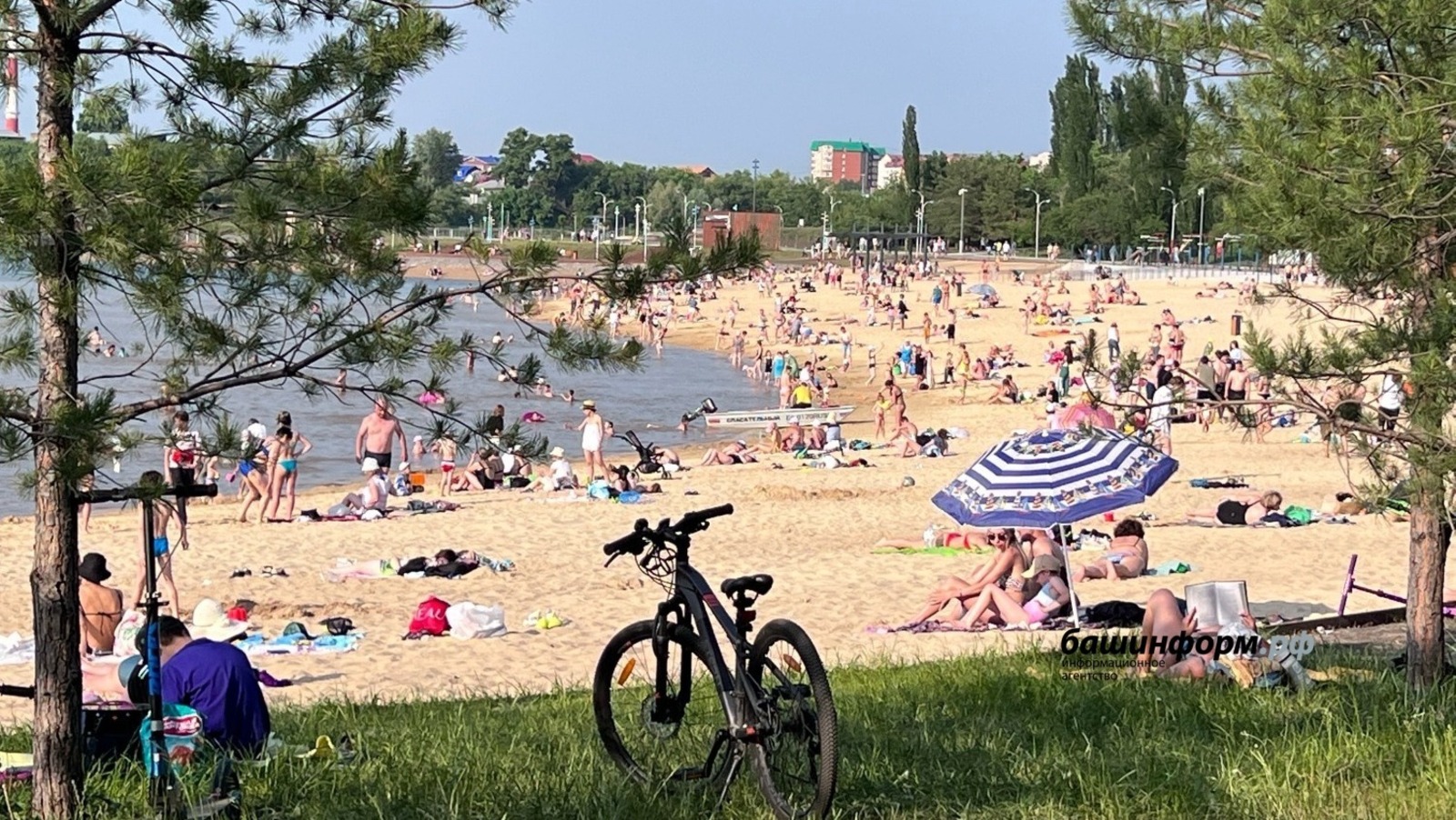 Ксения Калина