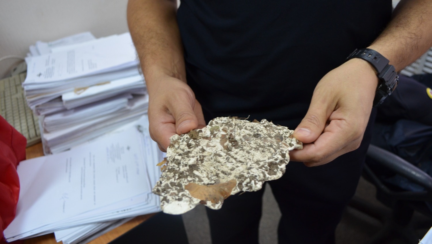 Ксения Калинина