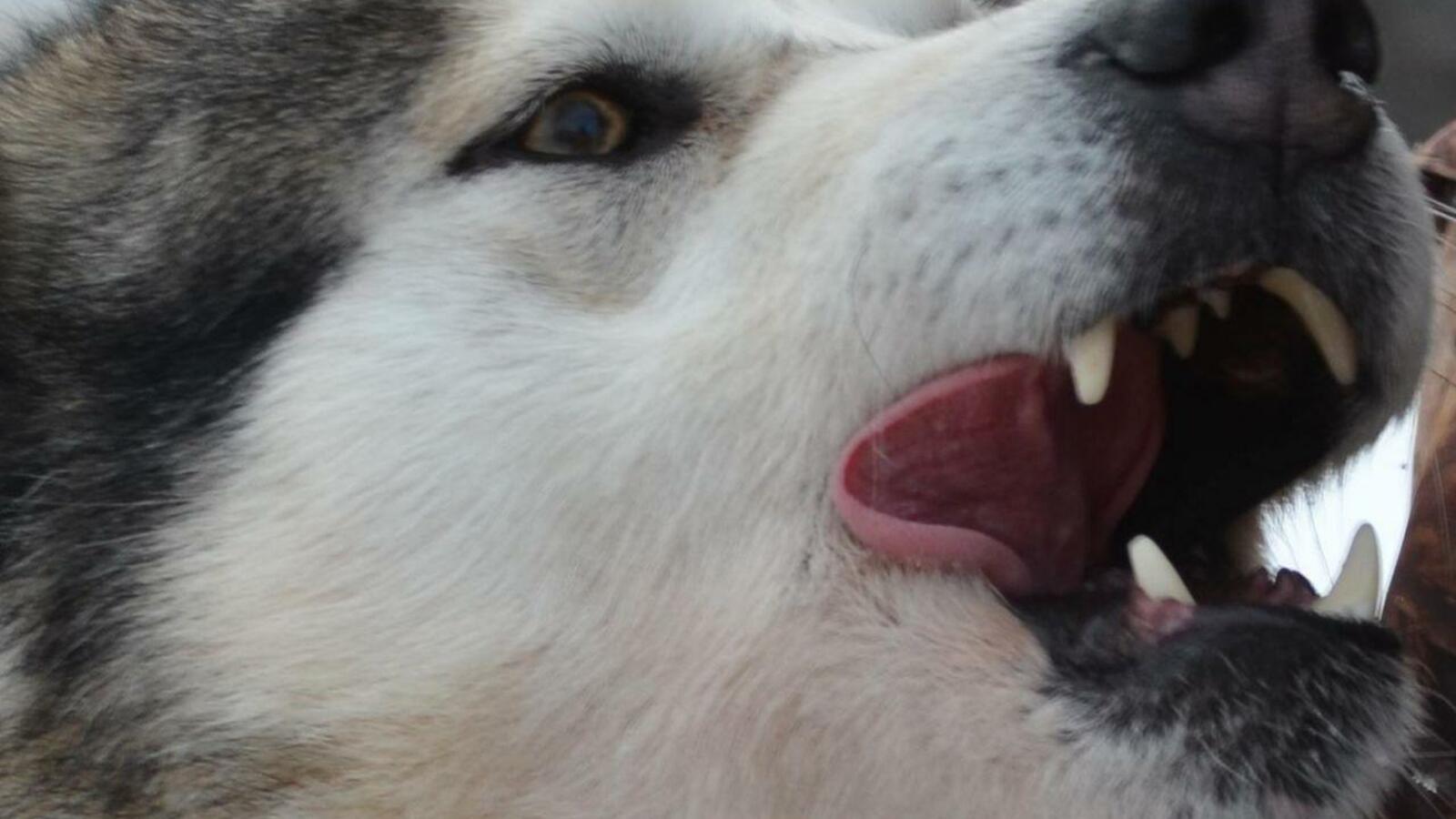 Ксения Калинина