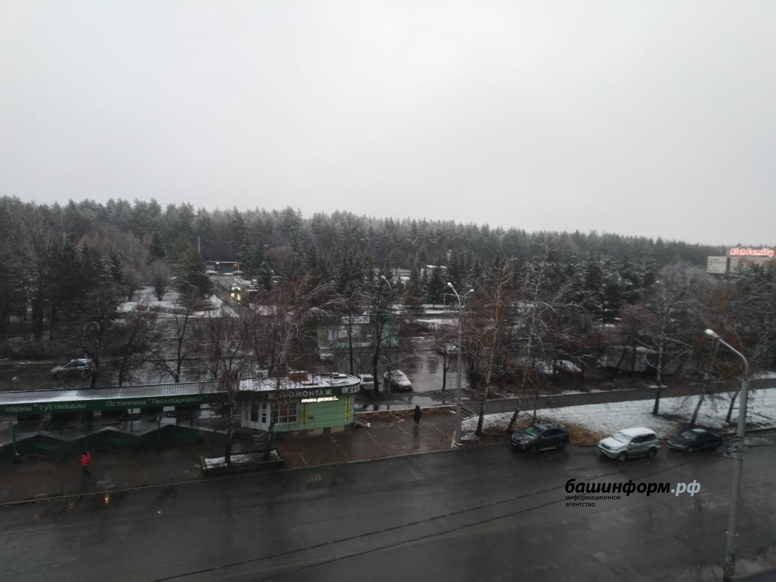 Галина Бахшиева
