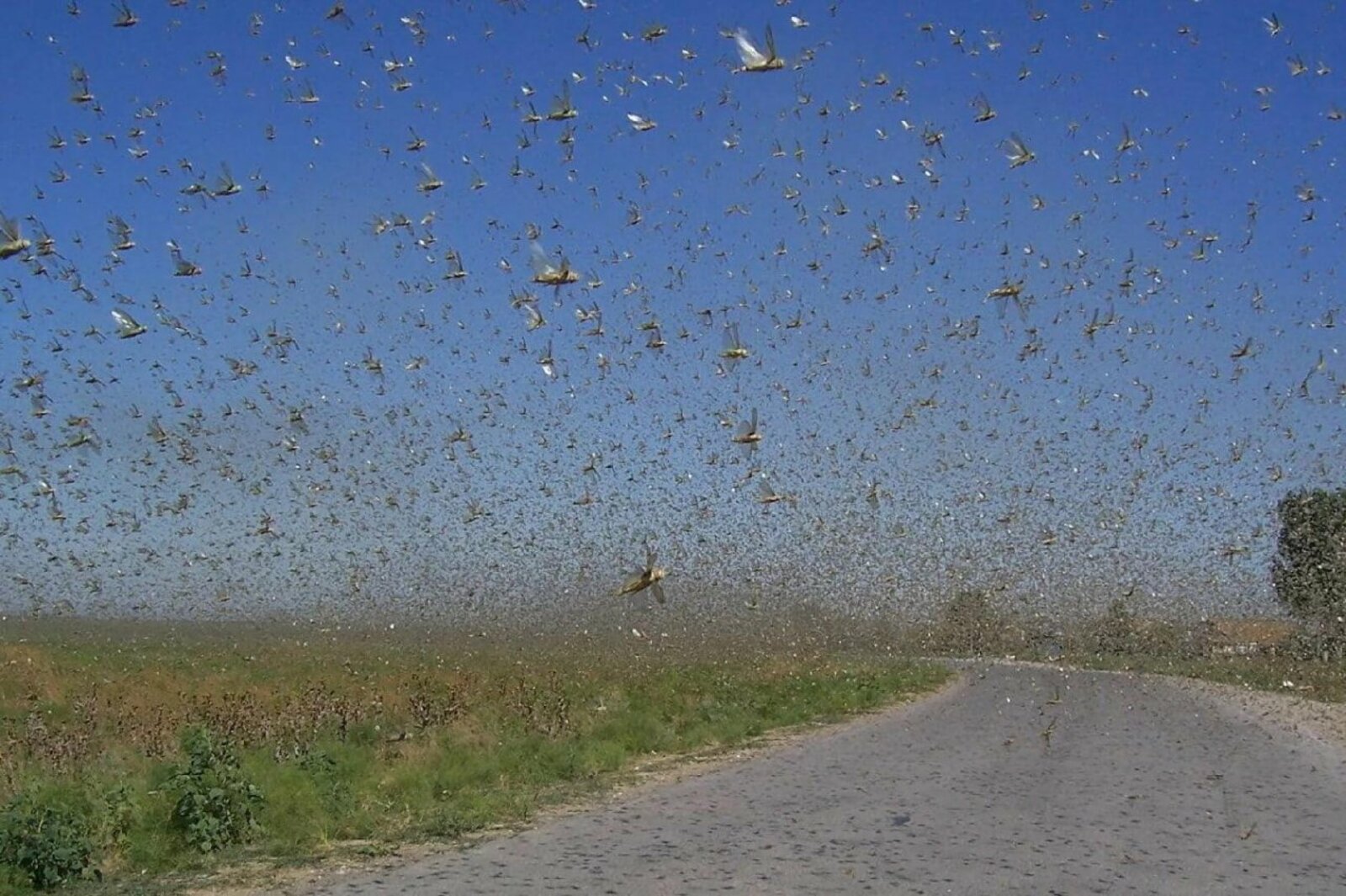 Соцсети