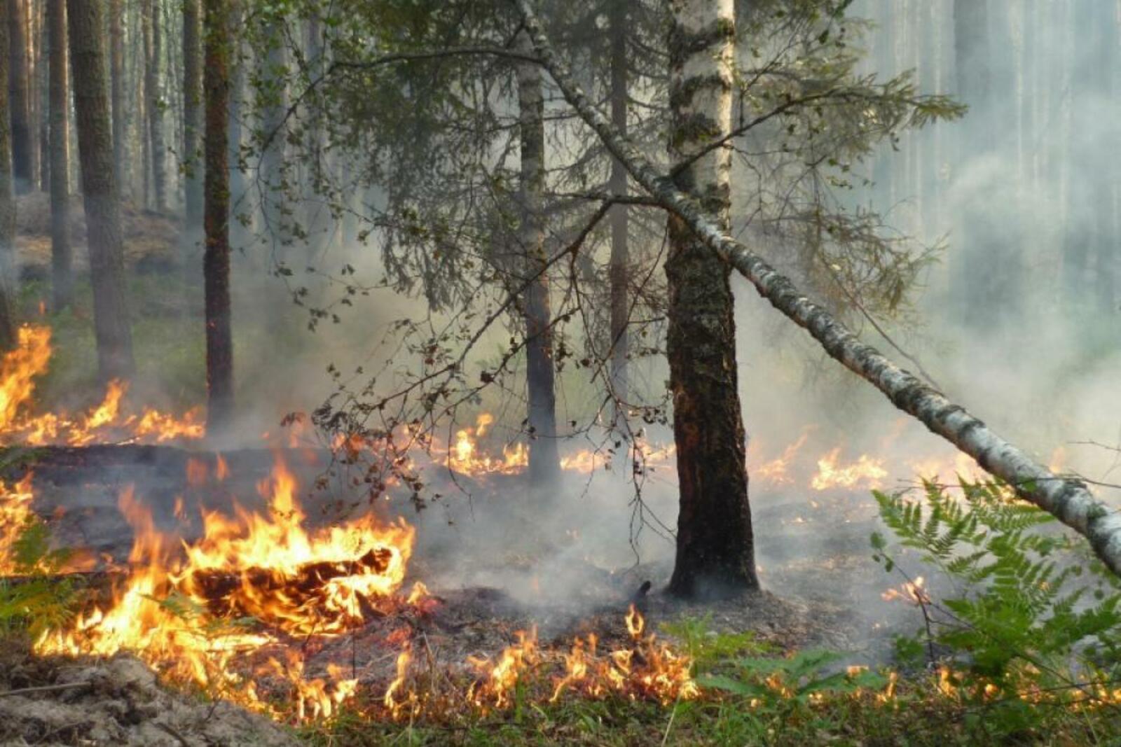 ГК ЧС по РБ