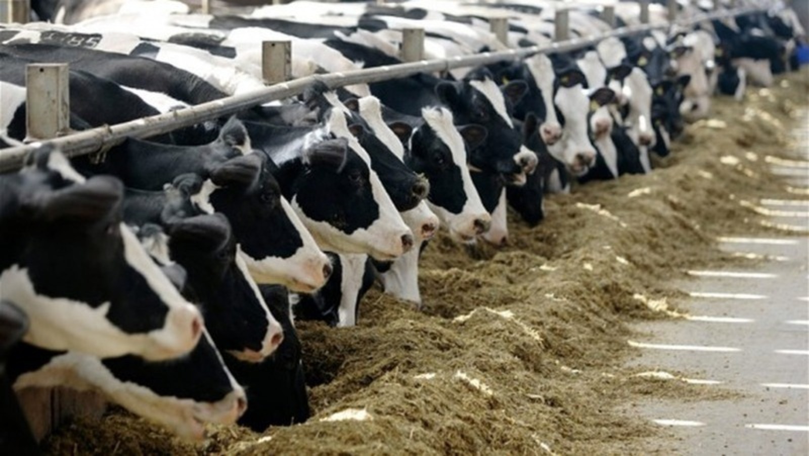 пресс-служба Минсельхоза Башкортостана