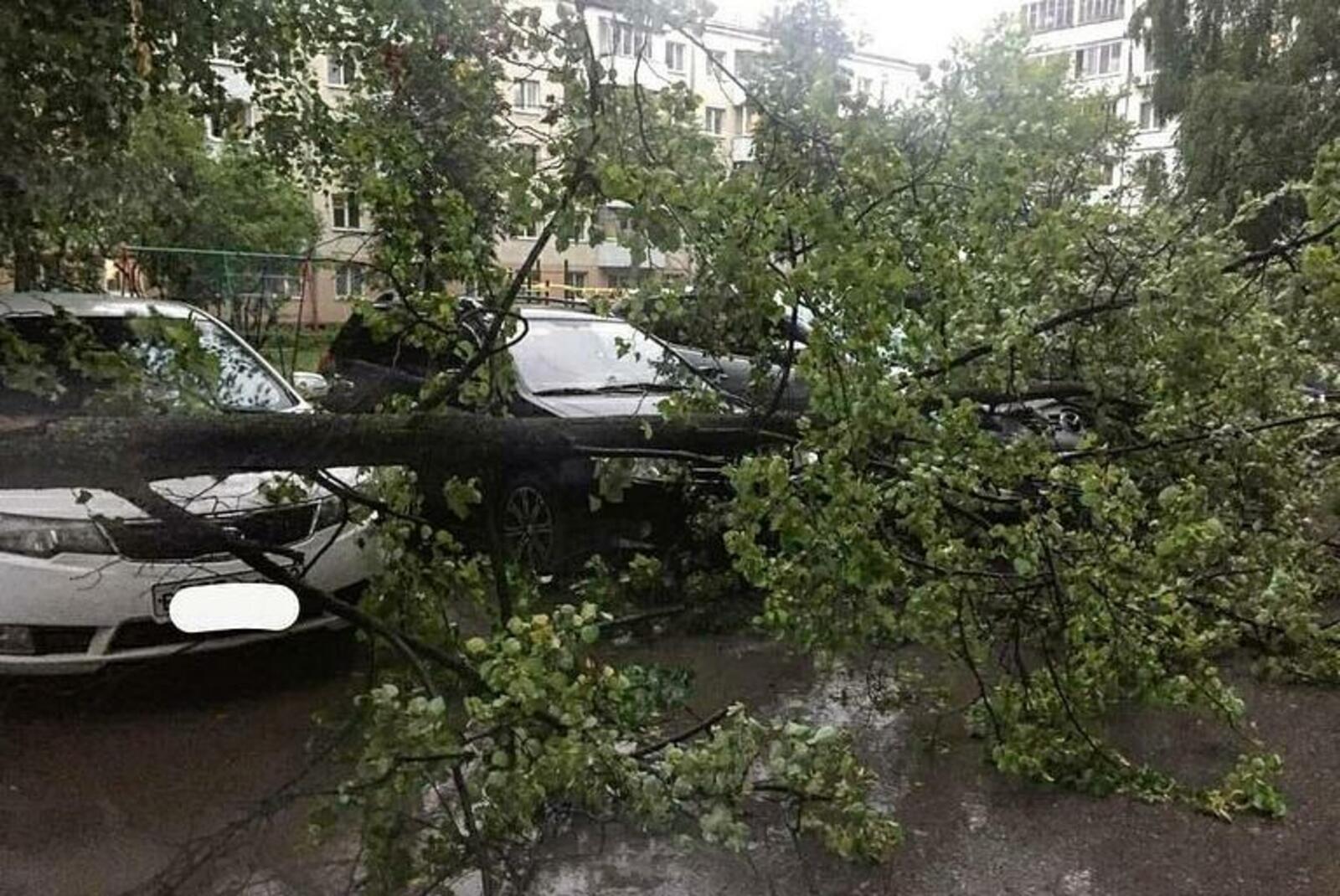 соцсети