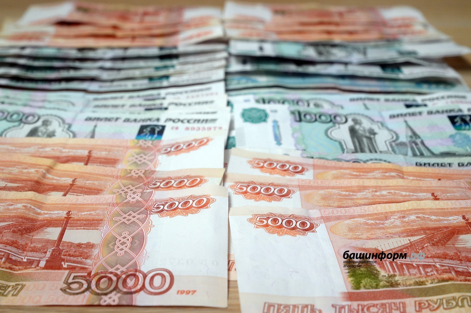 В Республике Башкортостан детям на ежемесячную выплату выделили — более 6 миллиарда рублей