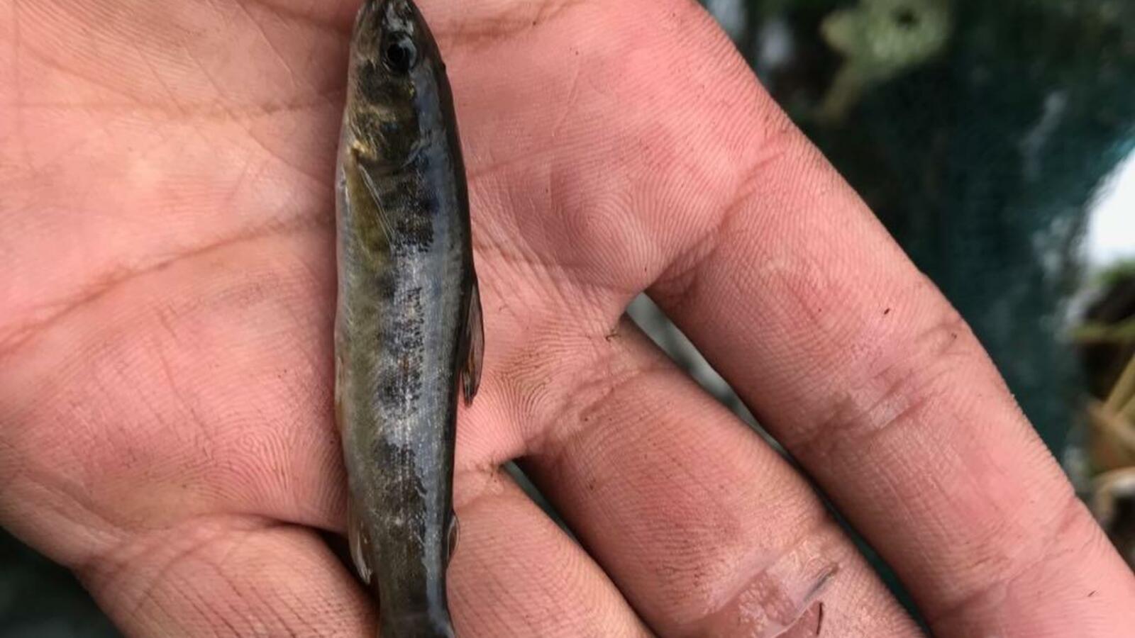 Башкирский заповедник