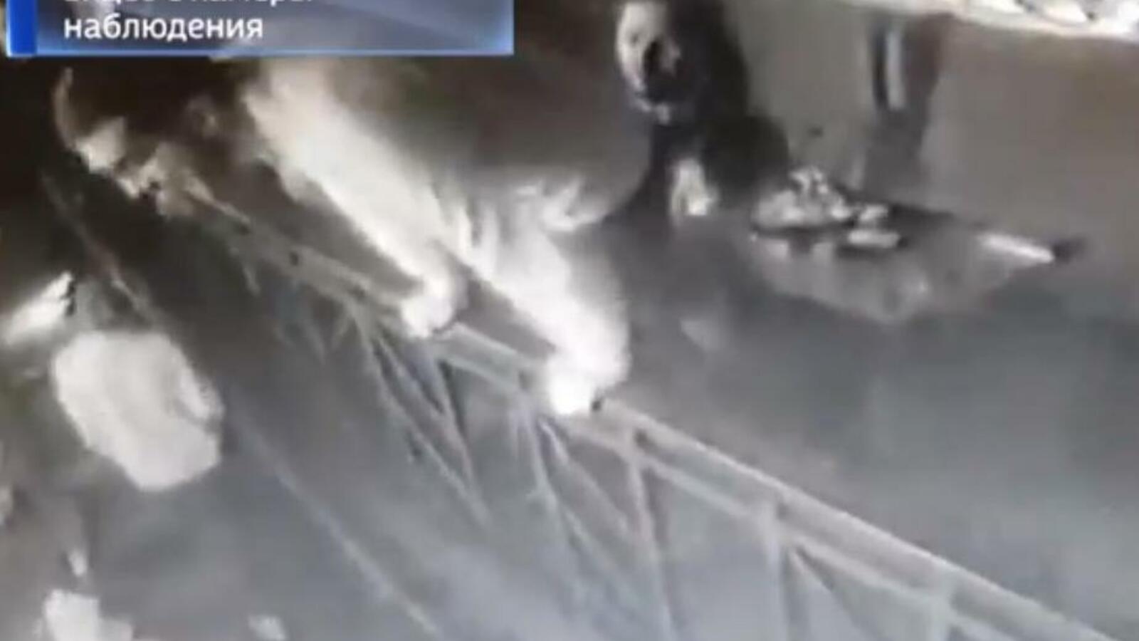 стоп-кадр видео ГТРК «Башкортостан»