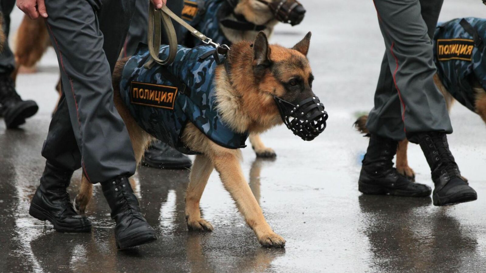 Олег Яровиков